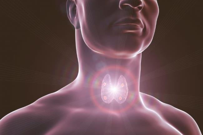 הדמיה של בלוטת יותר התריס, סינאקלסט לטיפול בפעילות יתר משנית של בלוטת יותרת התריס